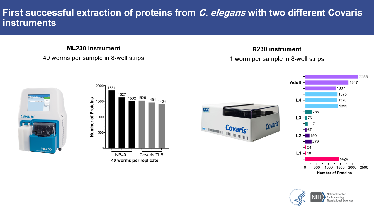 C. elegans proteomics sample preparation protein identification by life stage