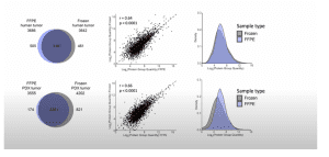 Data comparing protein numbers extracted from FFPE and frozen tissue samples of human and PDX tumors, showing correlation and similar averages in protein group quantities, indicating consistent processing