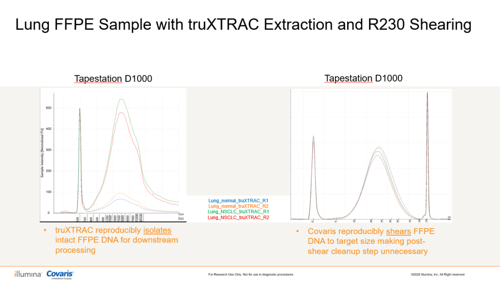 Tapestation traces showing DNA fragment size distributions after truXTRAC extraction and DNA fragment distribution after R230 shearing of lung FFPE tumor and normal samples