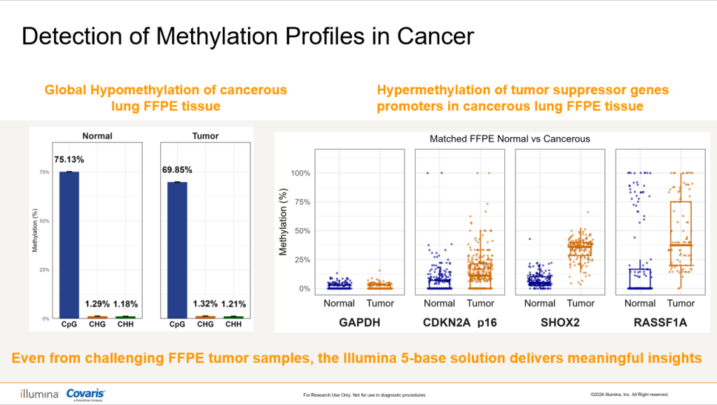 Bar charts comparing global hypomethylation and tumor suppressor gene hypermethylation in FFPE lung tumor versus normal tissue